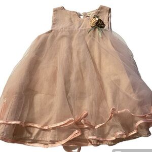 Pink Rose Dress Tulle 3T Bear Leader 100 Girls Boutique